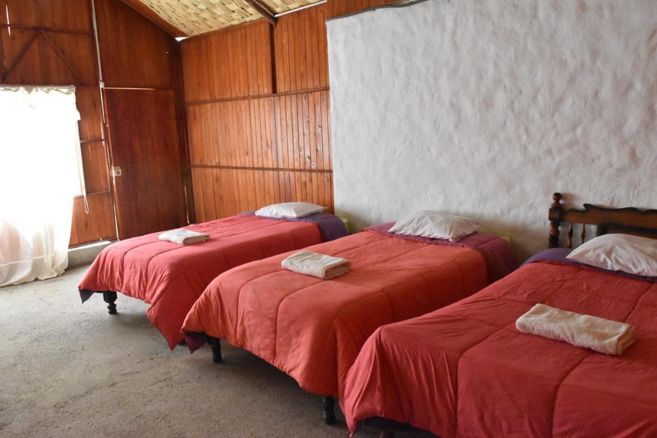 Oasis Paraiso Ecolodge Cabanaconde Exterior photo