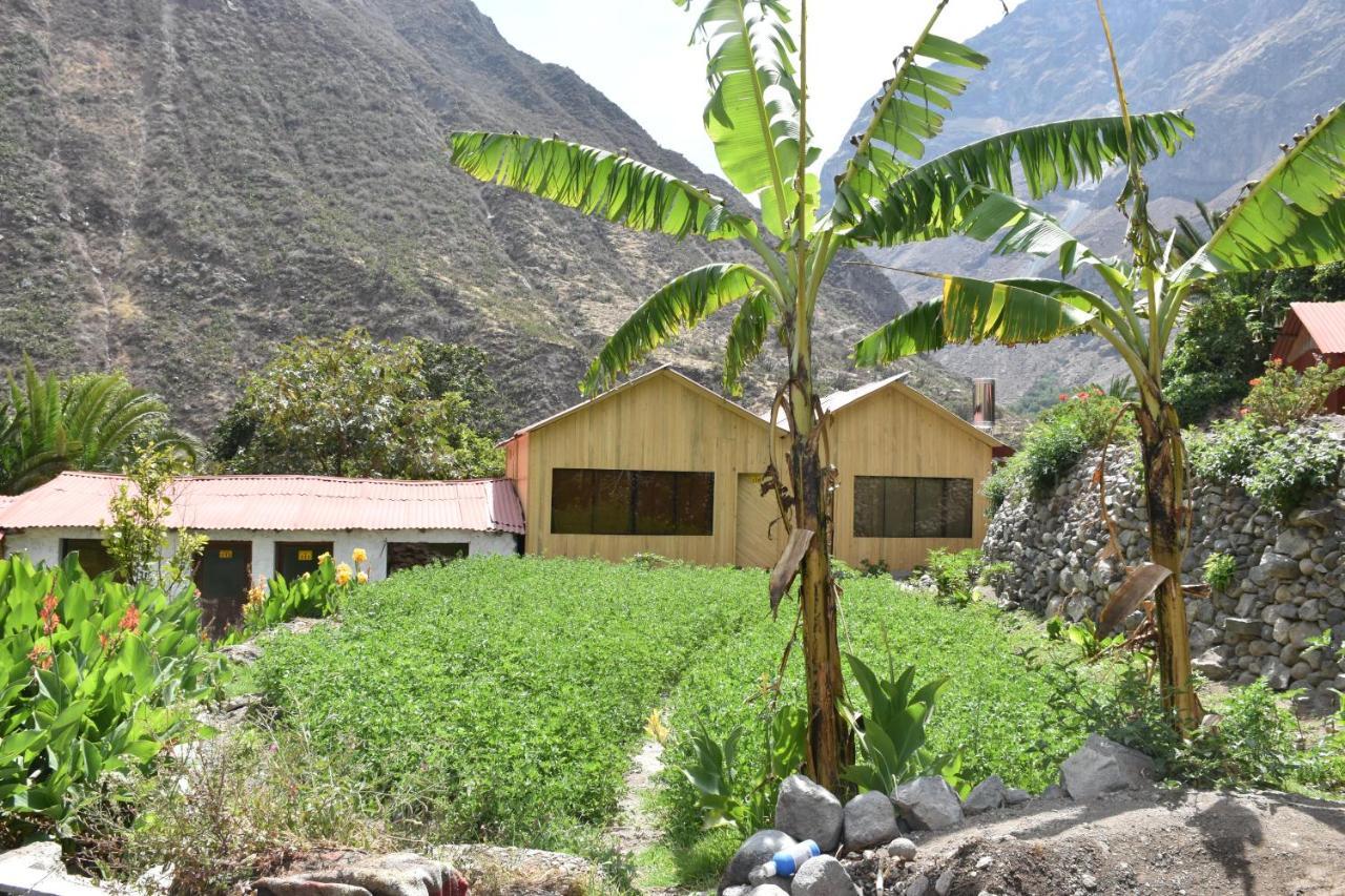 Oasis Paraiso Ecolodge Cabanaconde Exterior photo