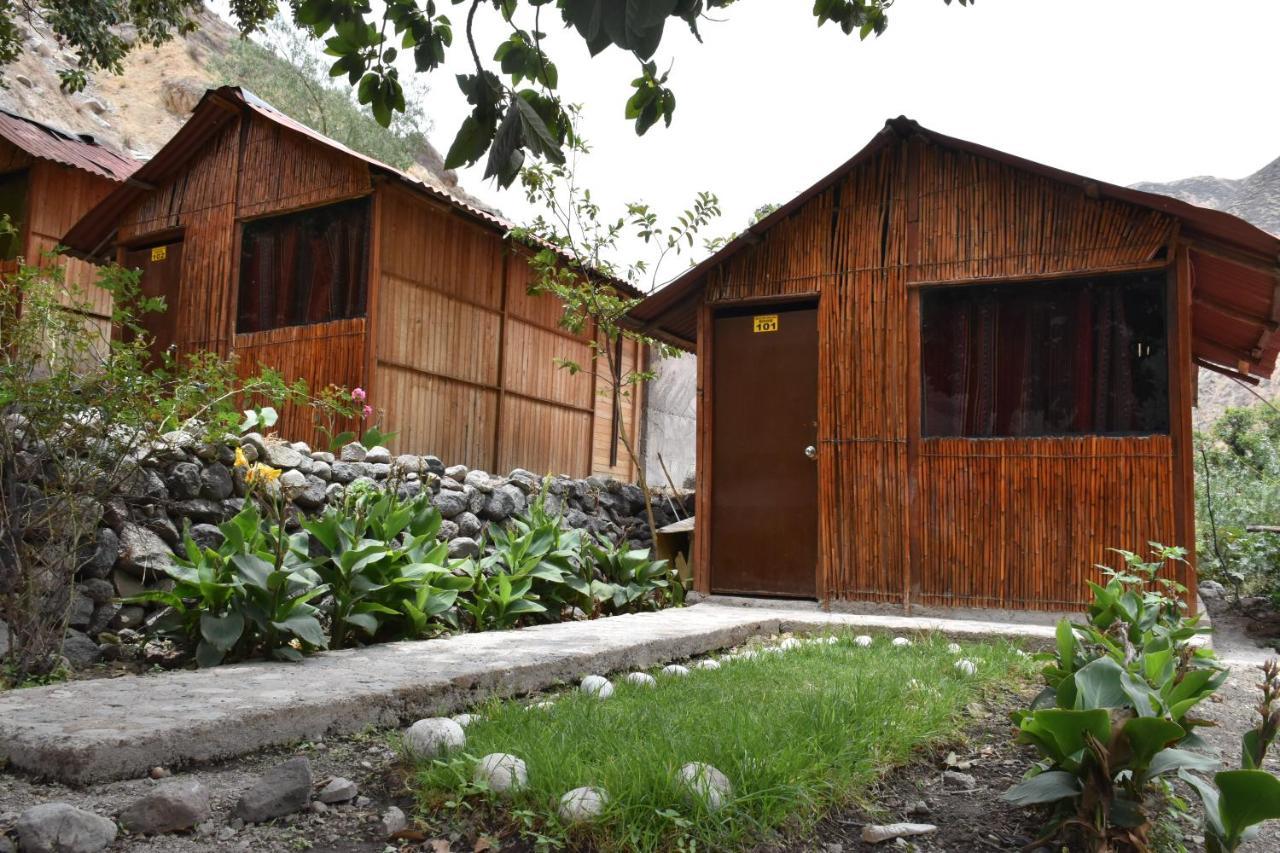 Oasis Paraiso Ecolodge Cabanaconde Exterior photo