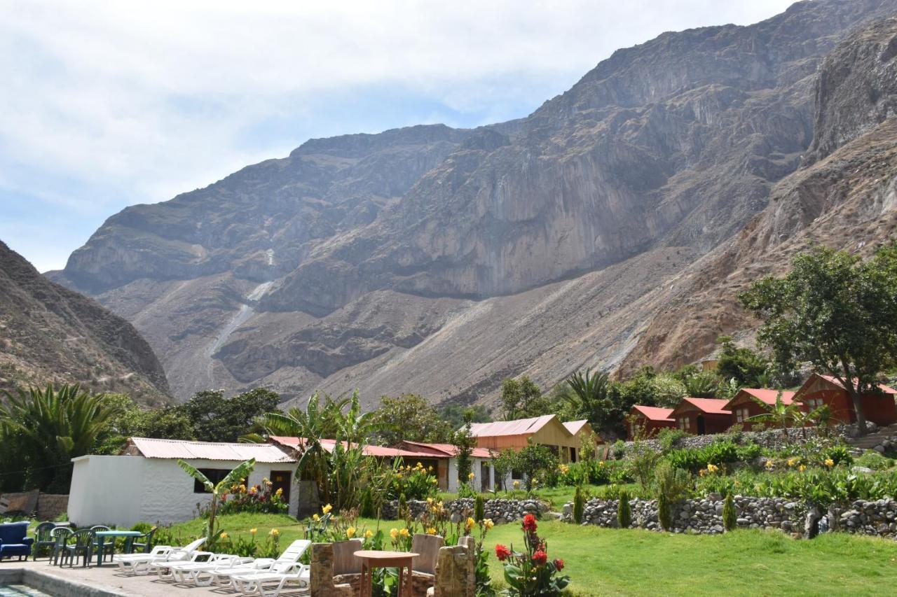 Oasis Paraiso Ecolodge Cabanaconde Exterior photo